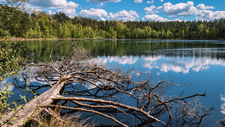 Ścieżka dydaktyczna Jezioro Jasne