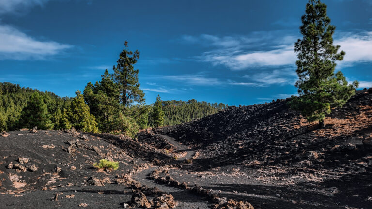 Volcano Chinyero